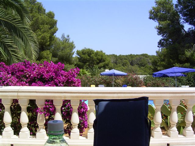 KruckenbergMallorca (6).JPG